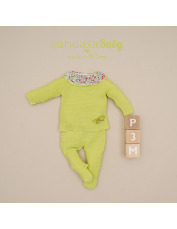 Conjunto primera puesta...